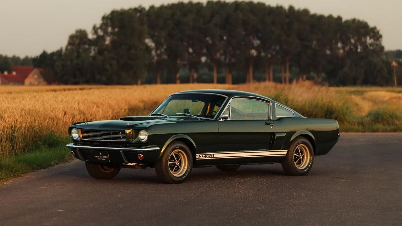 1966 Shelby GT350 Fastback