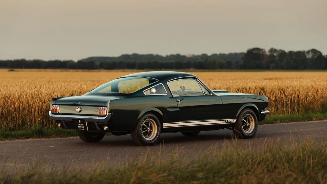 1966 Shelby GT350 Fastback - Thumbnail 2