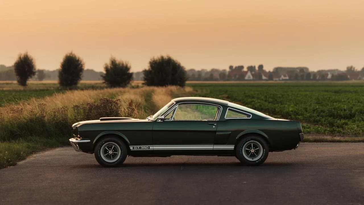1966 Shelby GT350 Fastback - Thumbnail 3