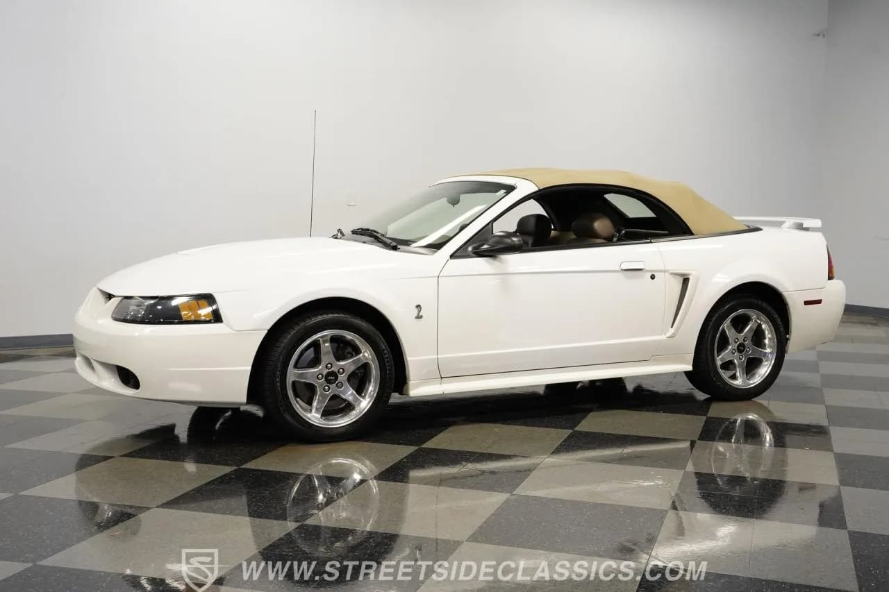 2001 Ford Mustang SVT Cobra Convertible - Thumbnail 7