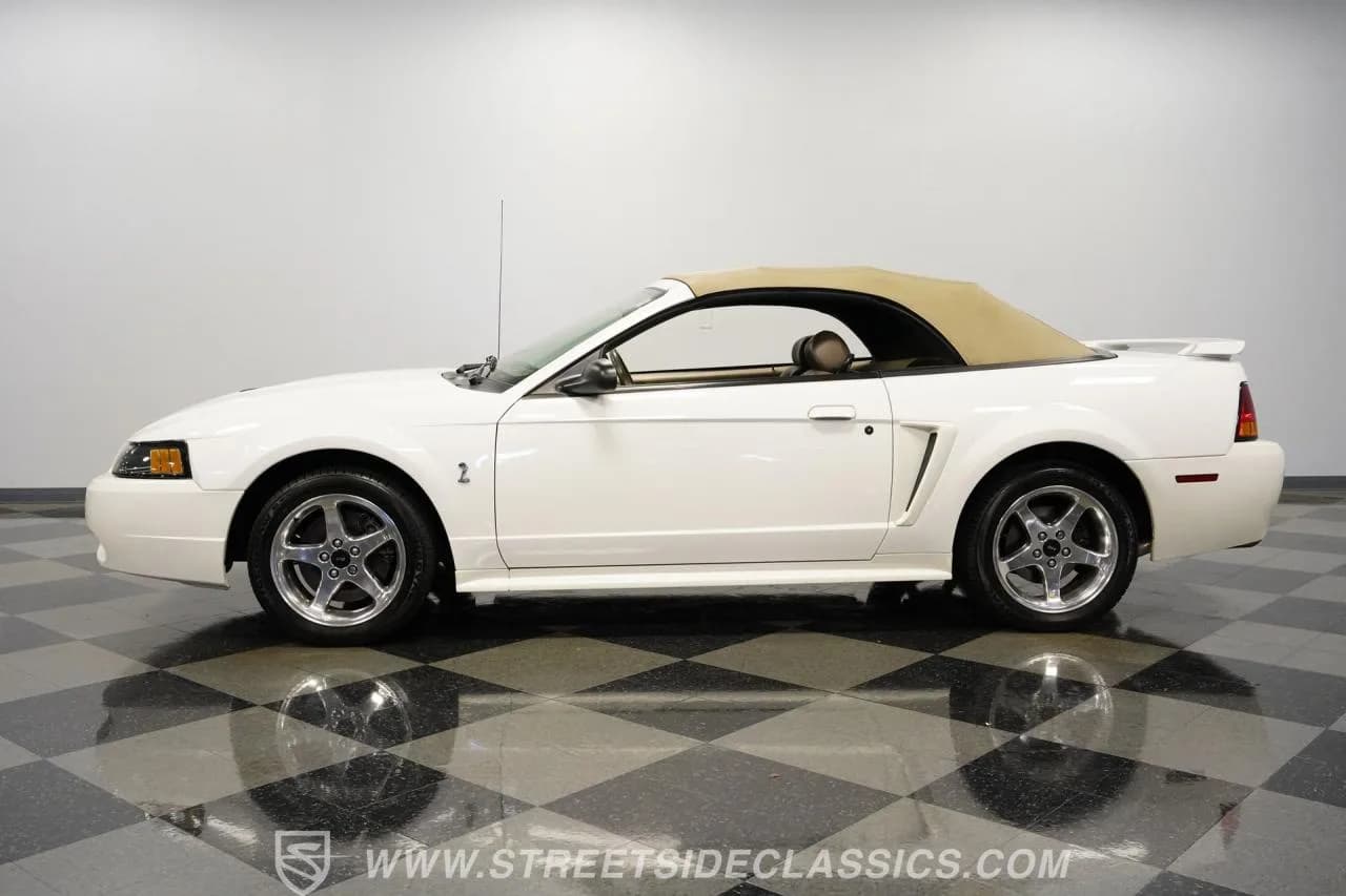 2001 Ford Mustang SVT Cobra Convertible - Thumbnail 8