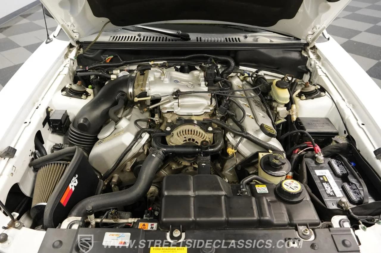 2001 Ford Mustang SVT Cobra Convertible - Thumbnail 3