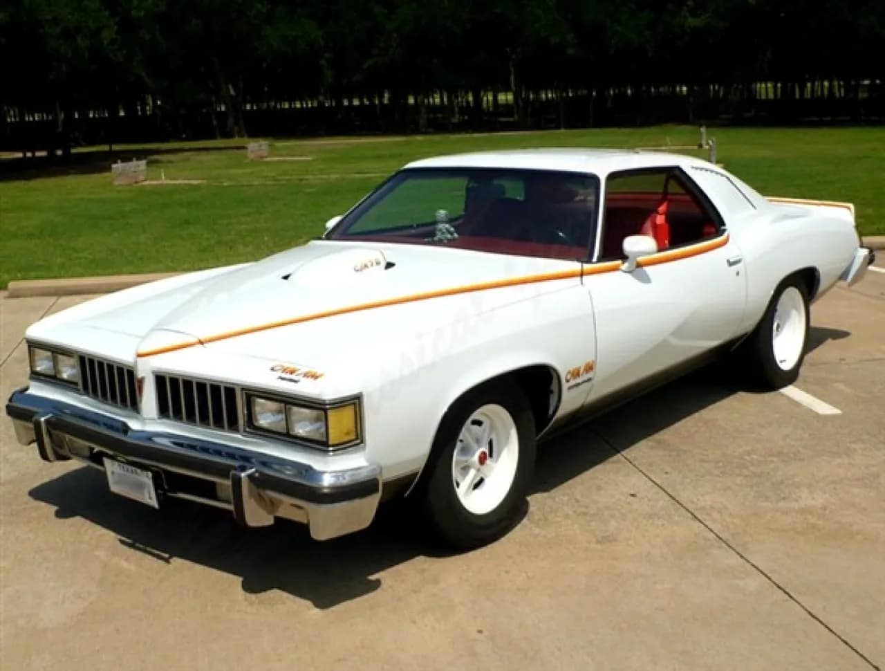 1977 Pontiac LeMans Can Am