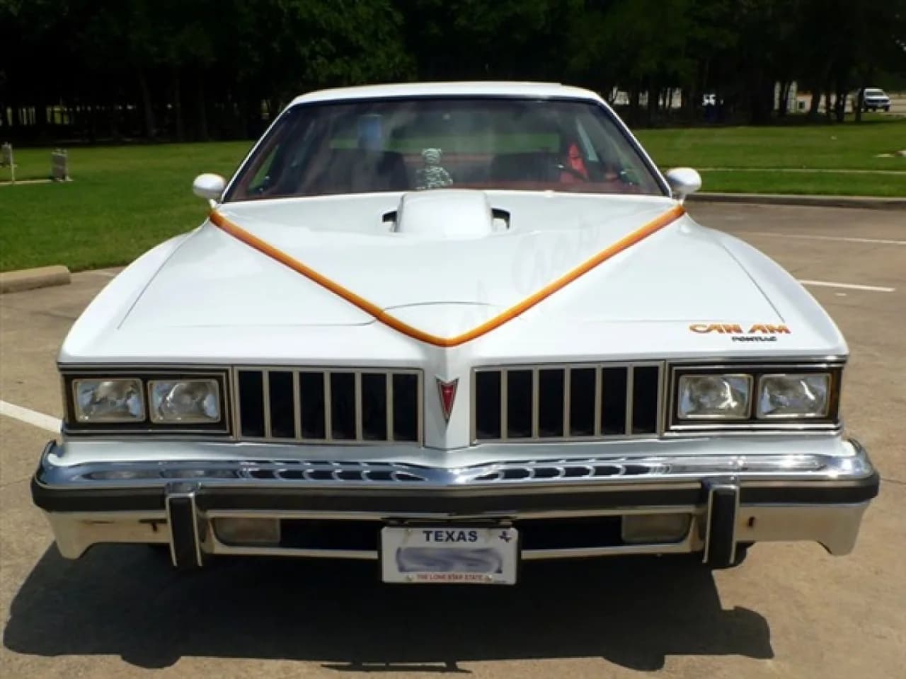 1977 Pontiac LeMans Can Am - Thumbnail 3