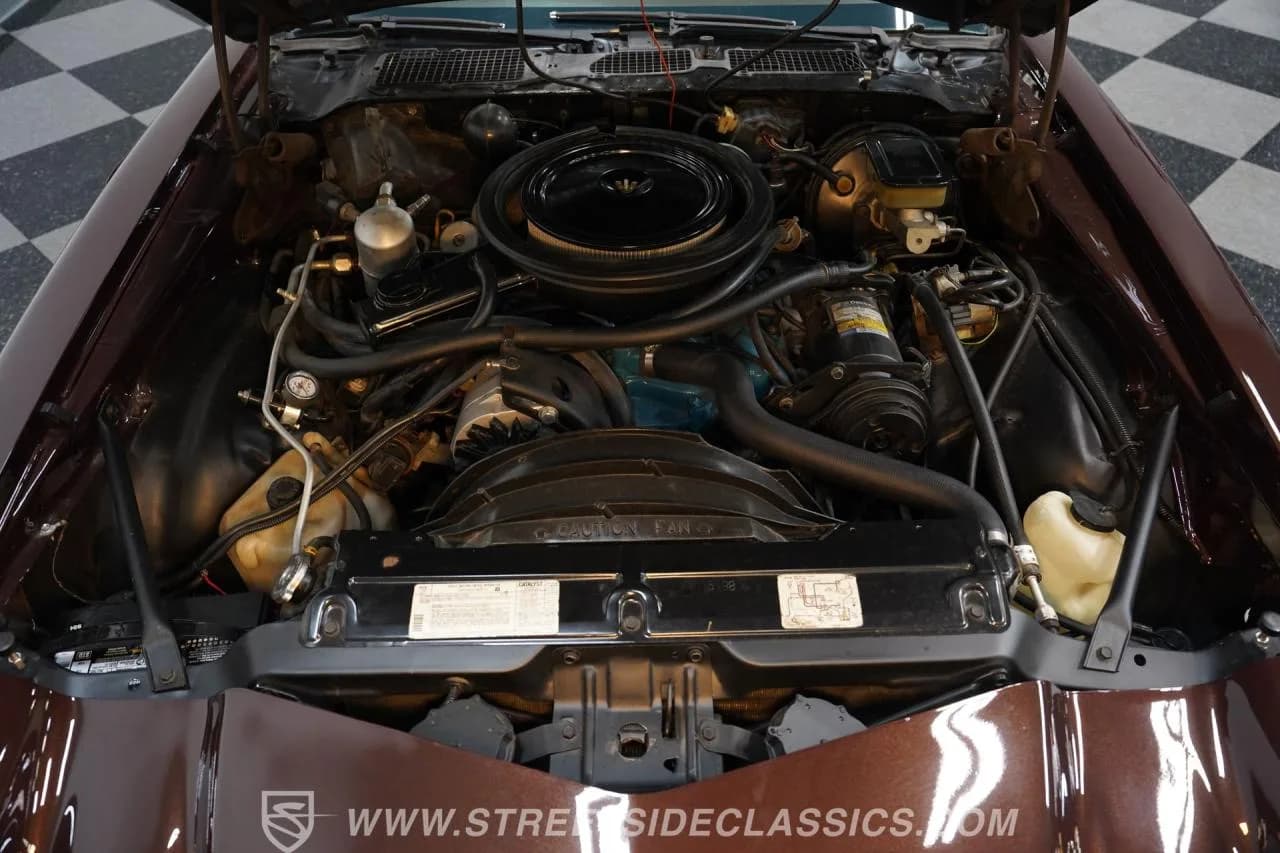 1981 Chevrolet Camaro Z28 - Thumbnail 3