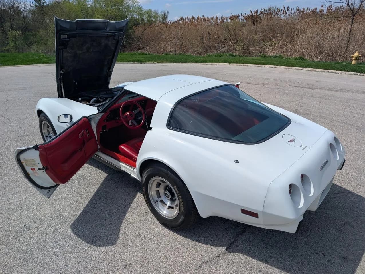 1979 Chevrolet Corvette L-82 - Thumbnail 4