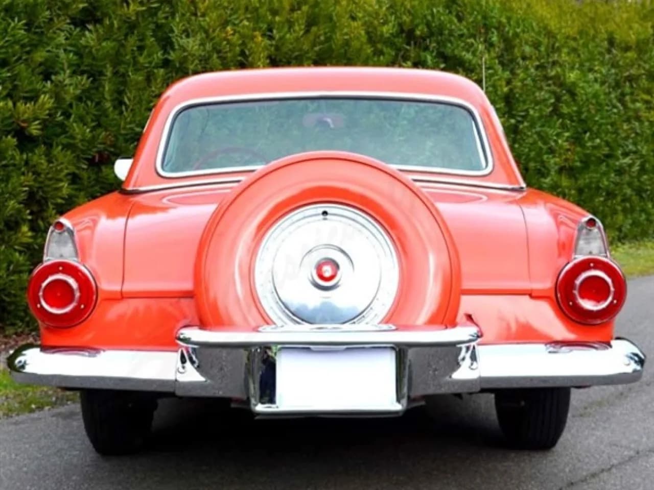 1956 Ford Thunderbird - Thumbnail 4