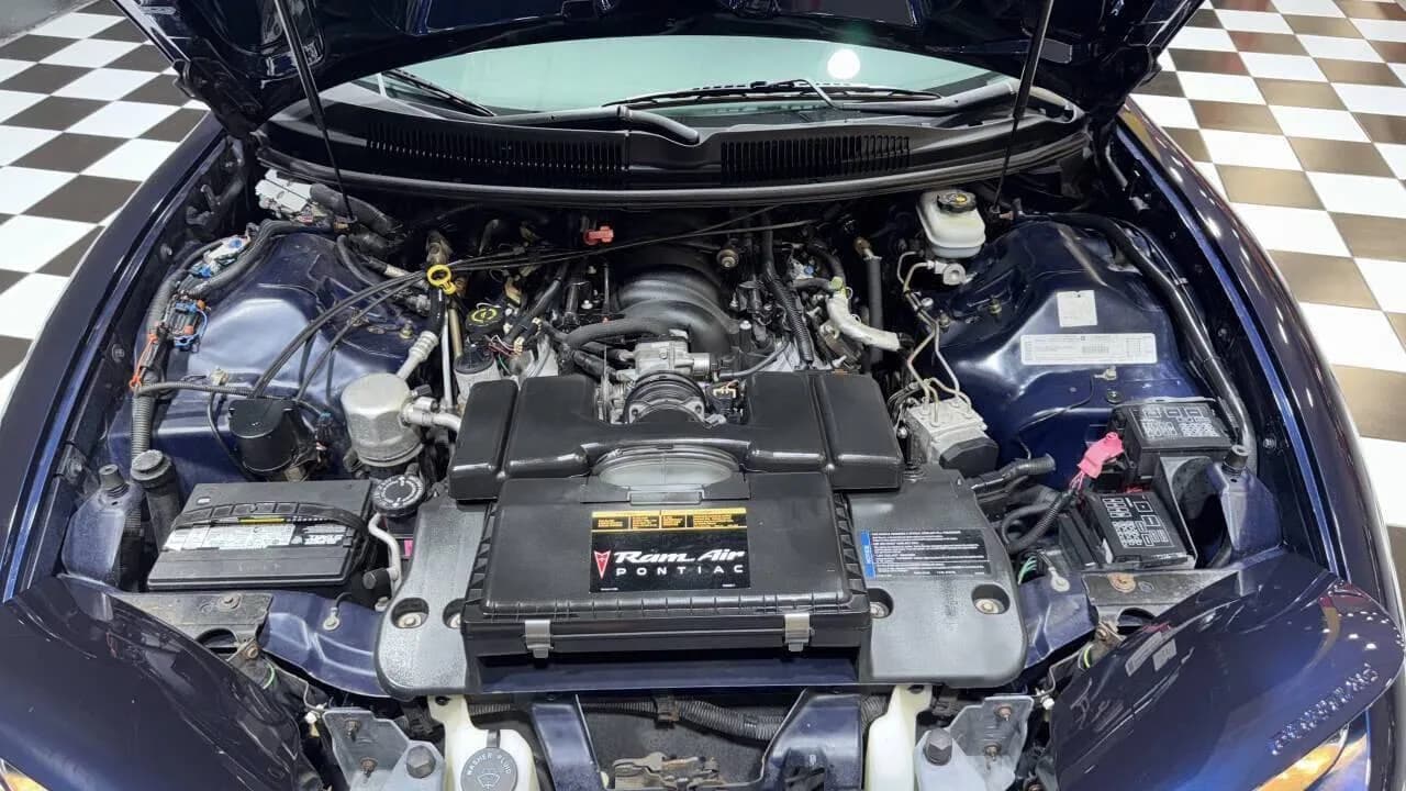 1999 Pontiac Firebird - Thumbnail 5