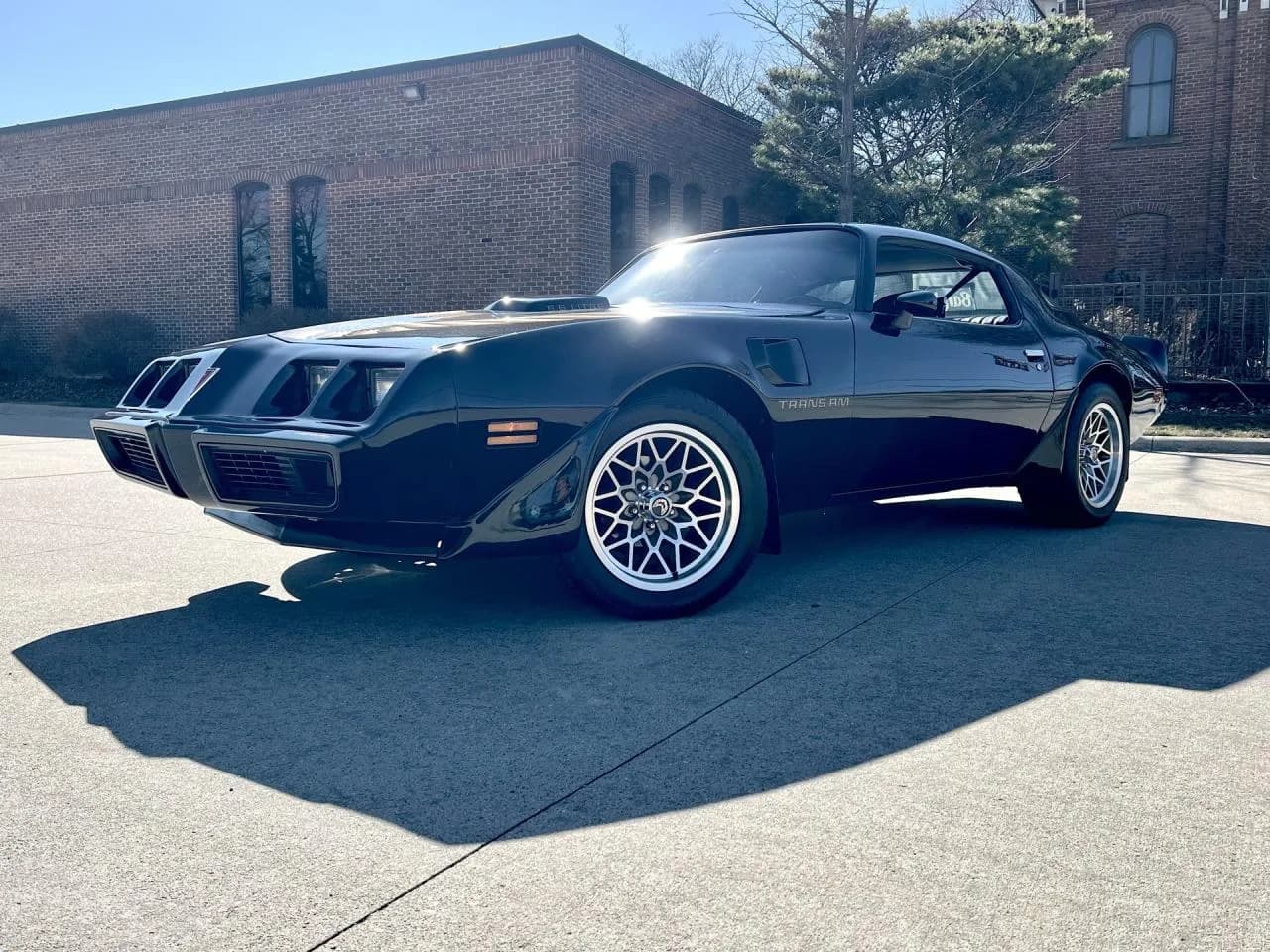 1979 Pontiac Trans Am - Thumbnail 2
