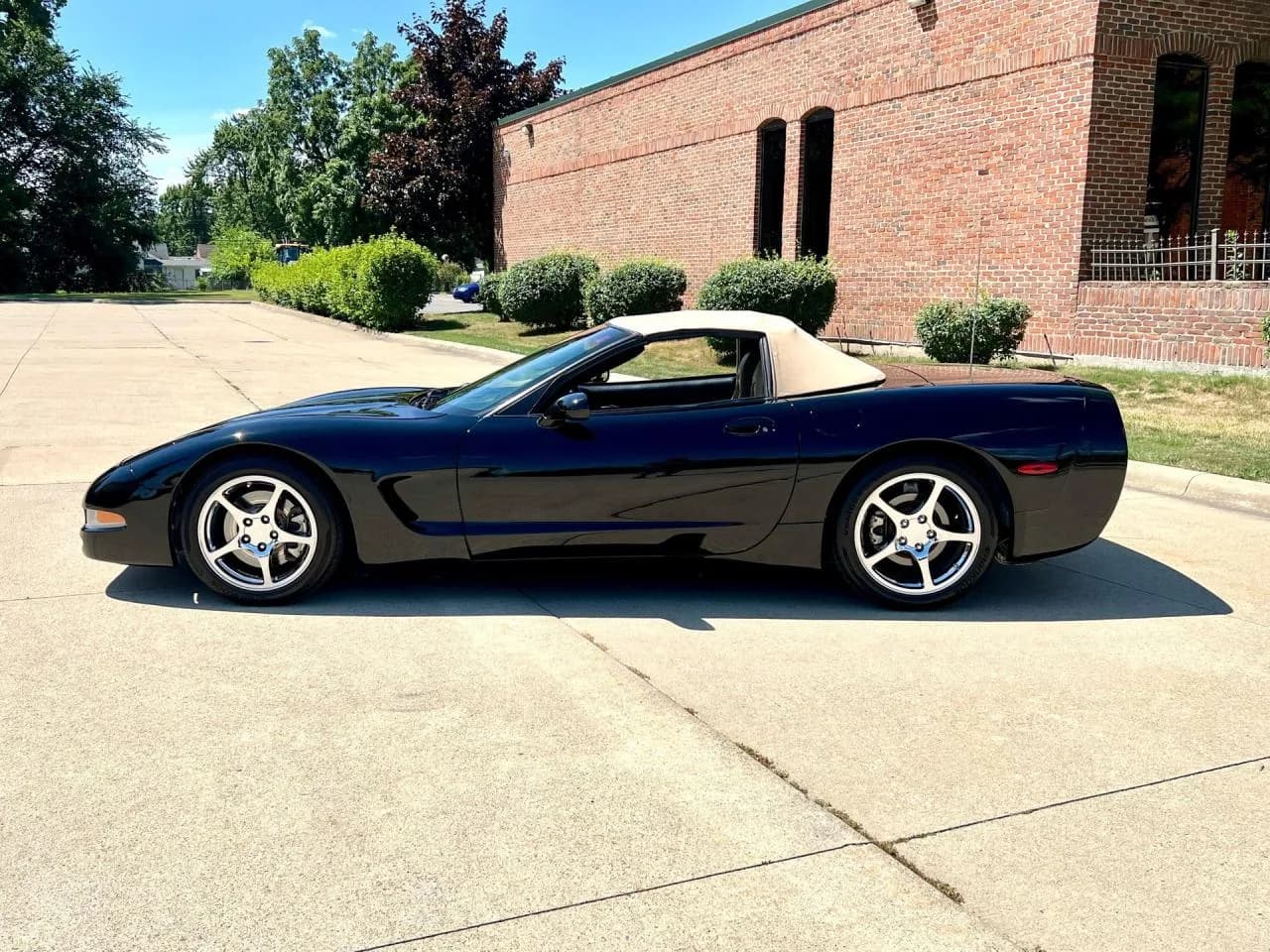 2001 Chevrolet Corvette - Thumbnail 8