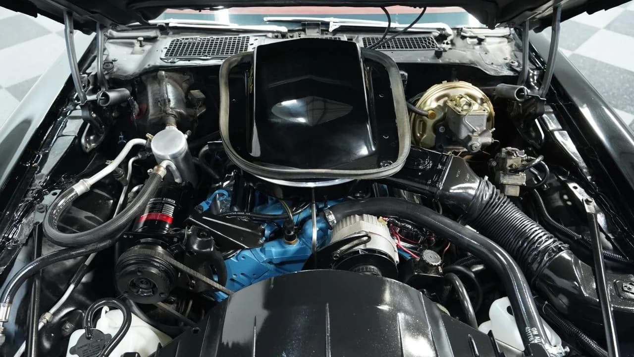 1978 Pontiac Firebird Trans Am - Thumbnail 3