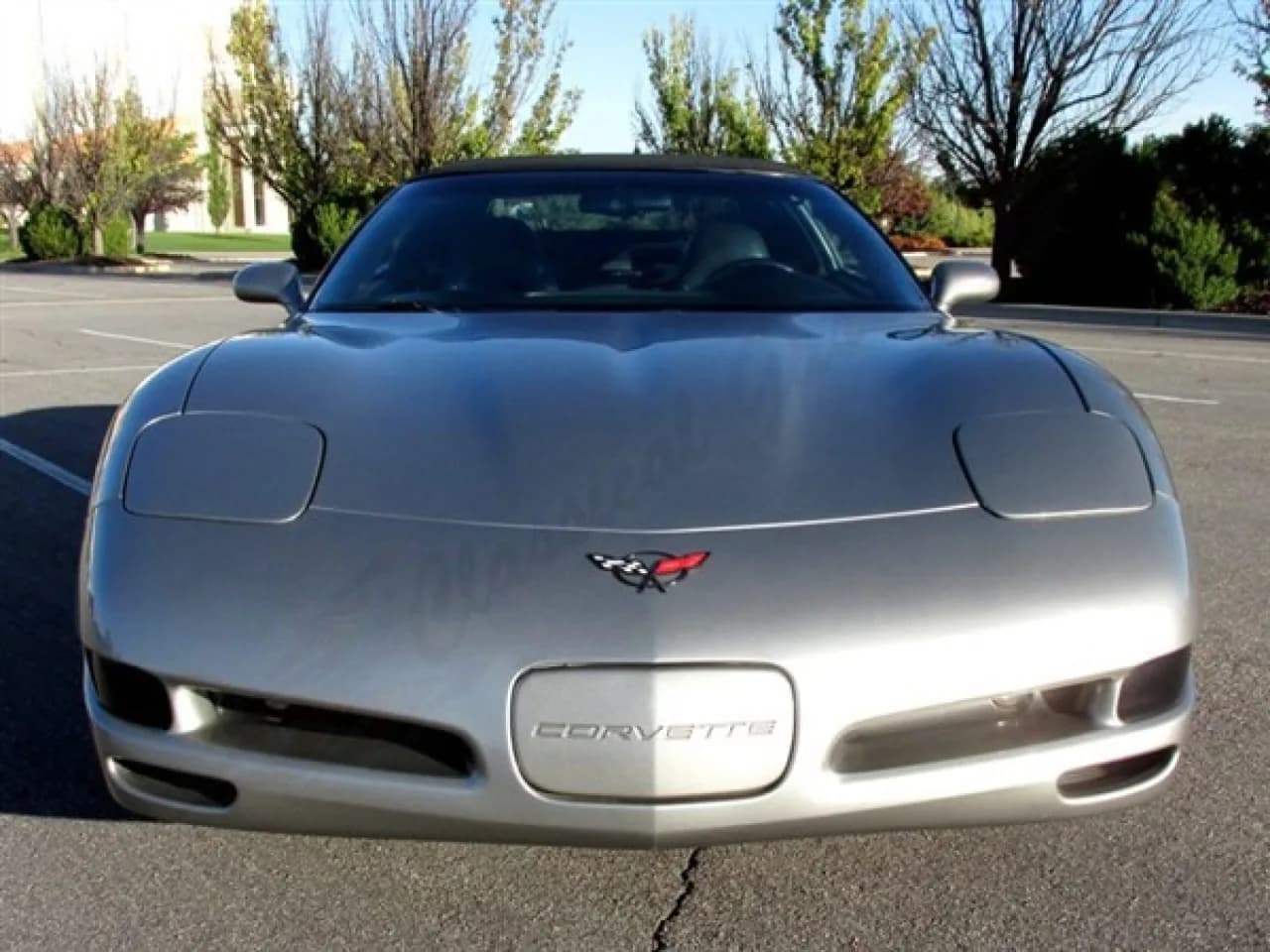 1998 Chevrolet Corvette Convertible - Thumbnail 3
