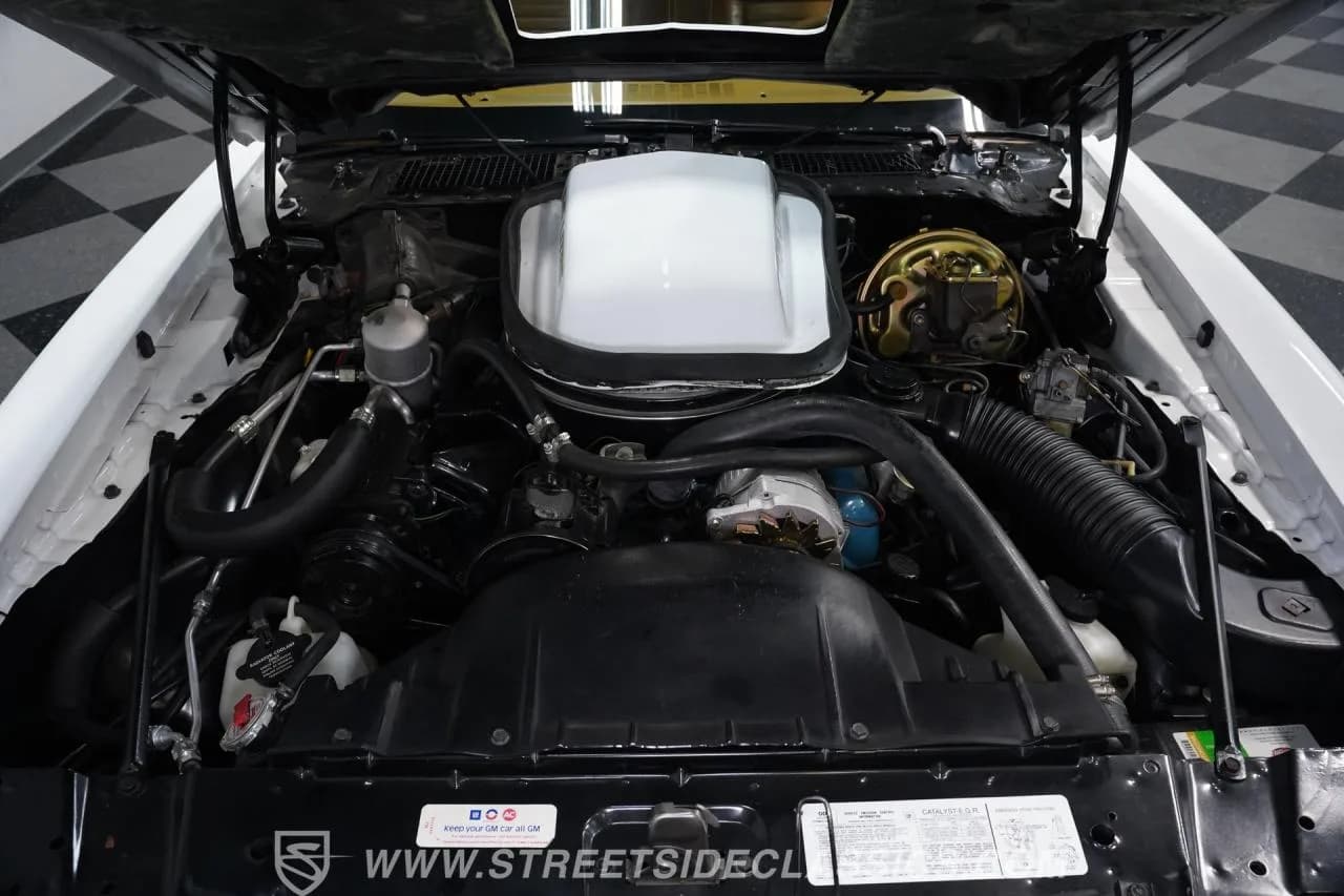 1979 Pontiac Firebird Trans Am - Thumbnail 3