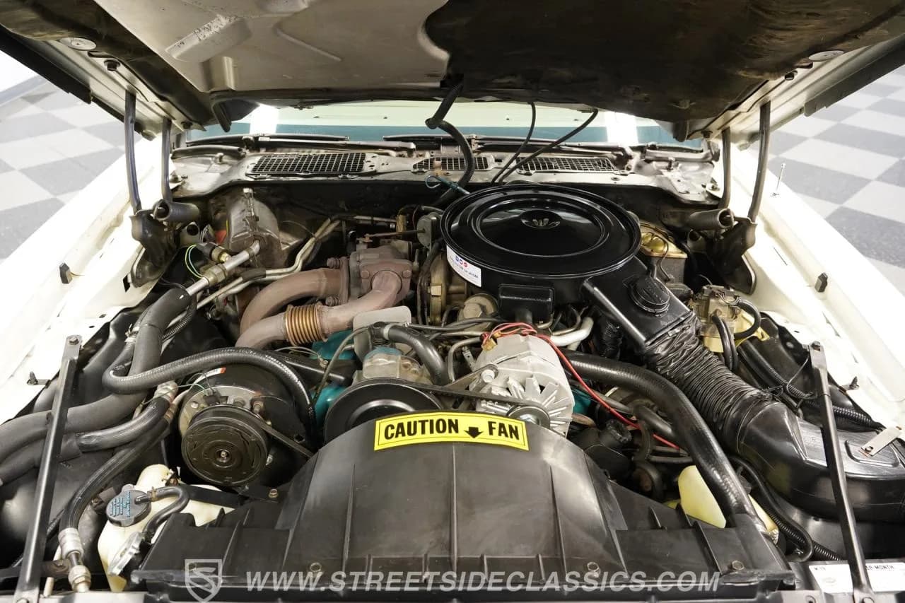 1980 Pontiac Firebird Trans Am Turbo Pace Car - Thumbnail 3