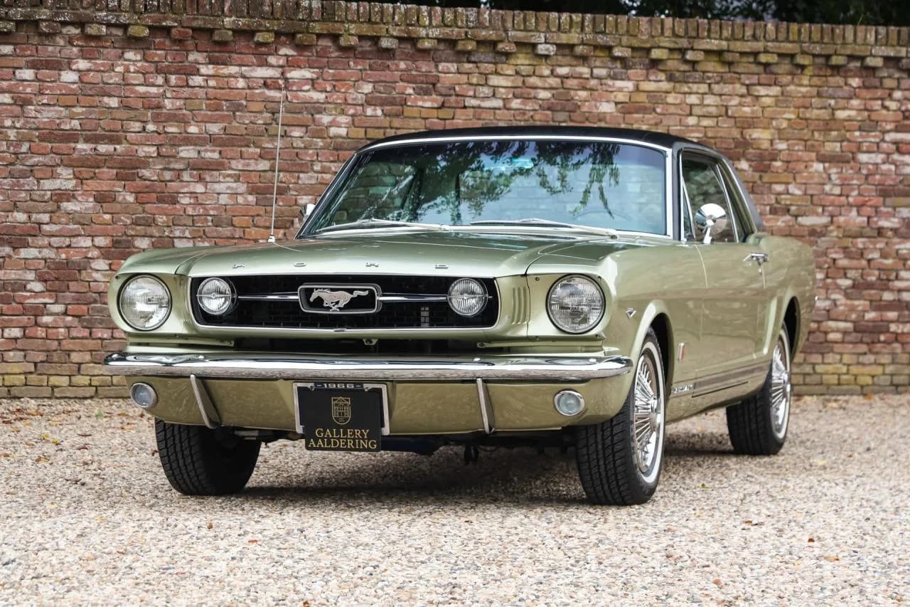 1966 Ford Mustang GT A-Code &ldquo;The Dutch most award-winning Mustang&rdquo;