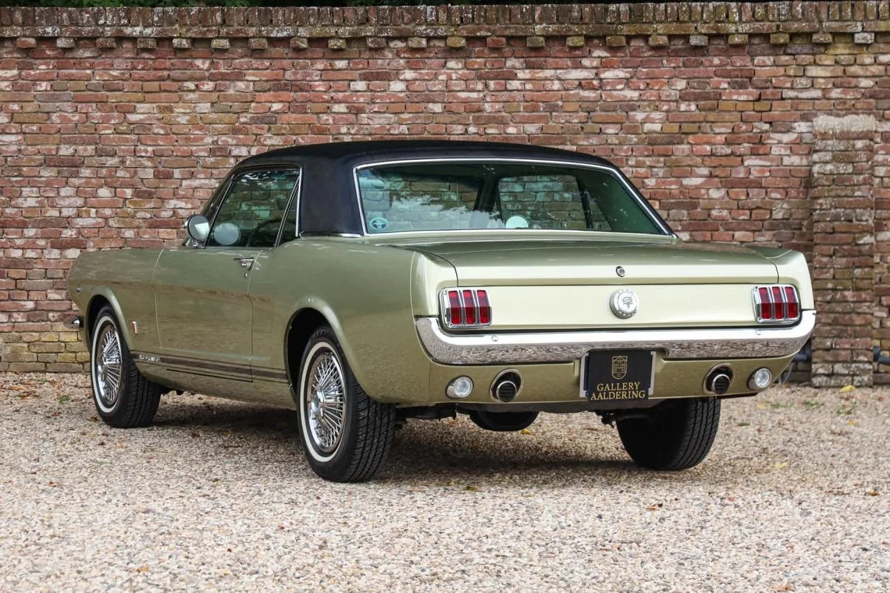 1966 Ford Mustang GT A-Code &ldquo;The Dutch most award-winning Mustang&rdquo; - Thumbnail 2