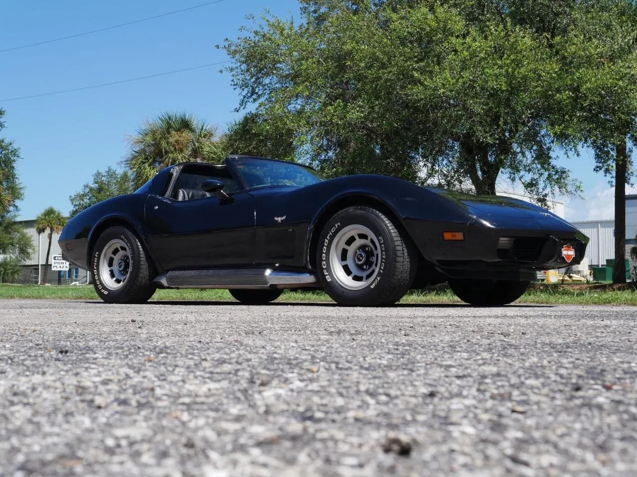 1979 Chevrolet Corvette Coupe - Thumbnail 5