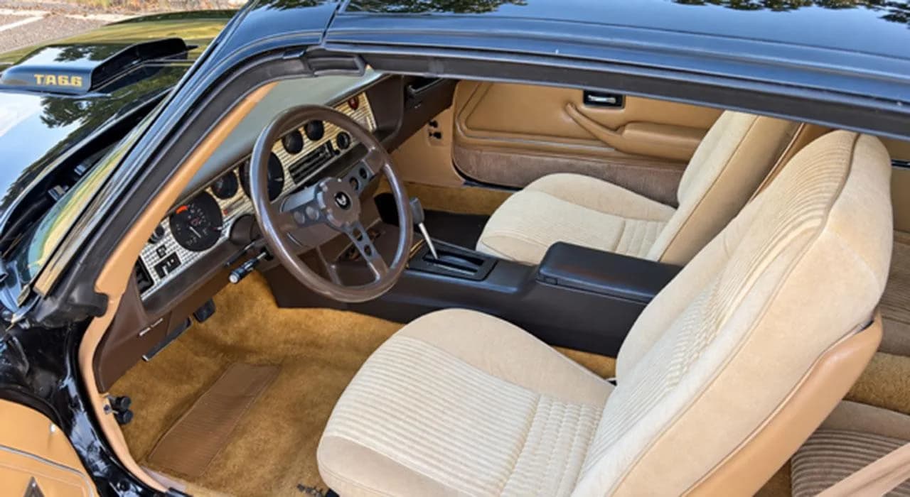 1981 Pontiac Trans Am - Thumbnail 5
