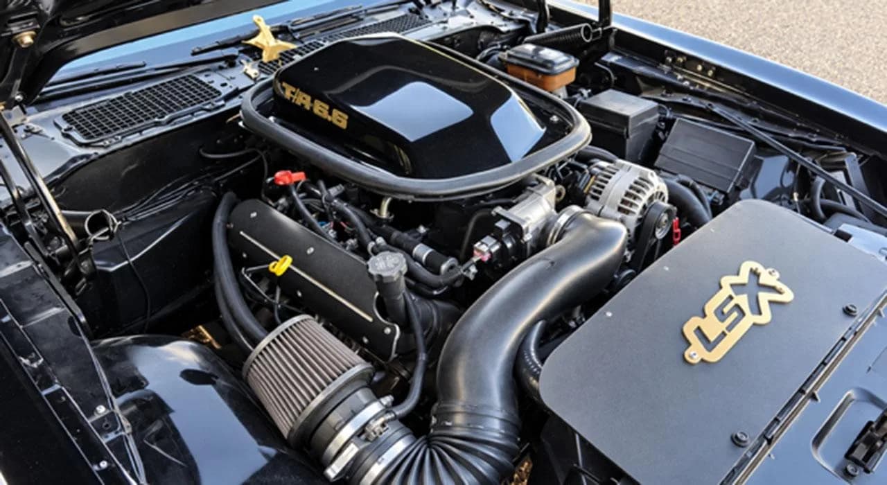1981 Pontiac Trans Am - Thumbnail 6